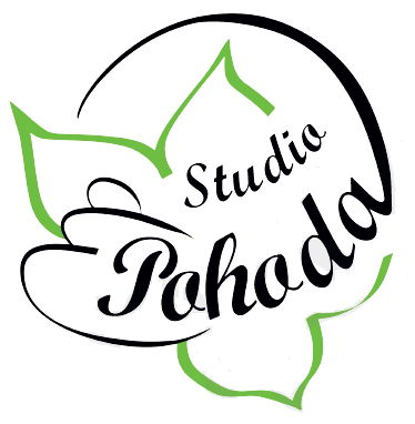 Primary Raster logo